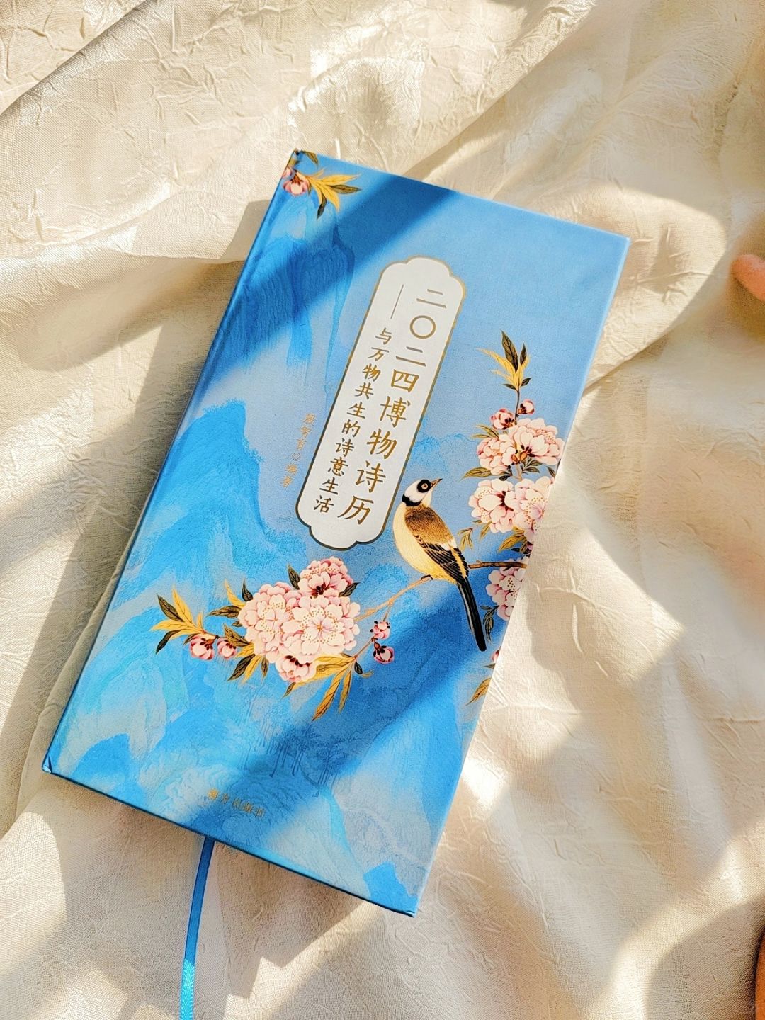 完全沦陷❤️对我心境改变最大的一款日历！