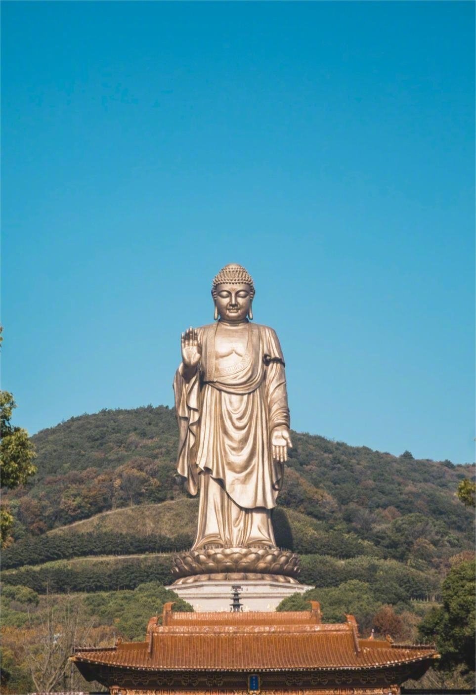 学业顺利，全面转运 ​ ​​​