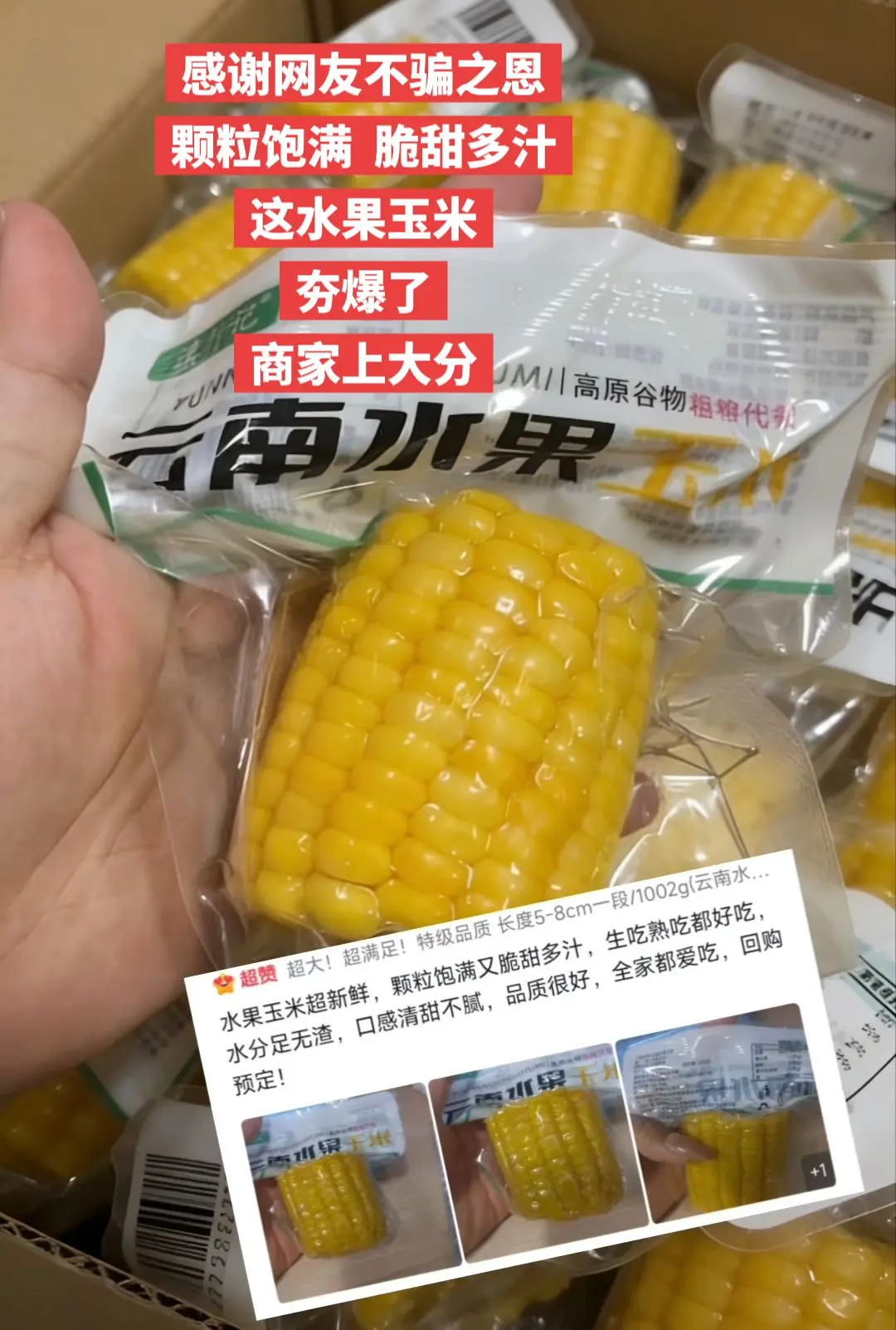 挖到了一款宝藏水果玉米，超好吃。