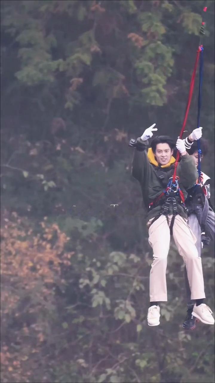 小树杈（cr📕CraneTrace-王鹤棣 王鹤棣宇宙闪烁请注意