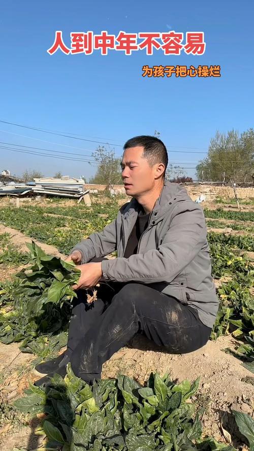 人到中年，上有老下有小，加之工作生活压力，确实很不容易，为此中年人一定要学会减轻