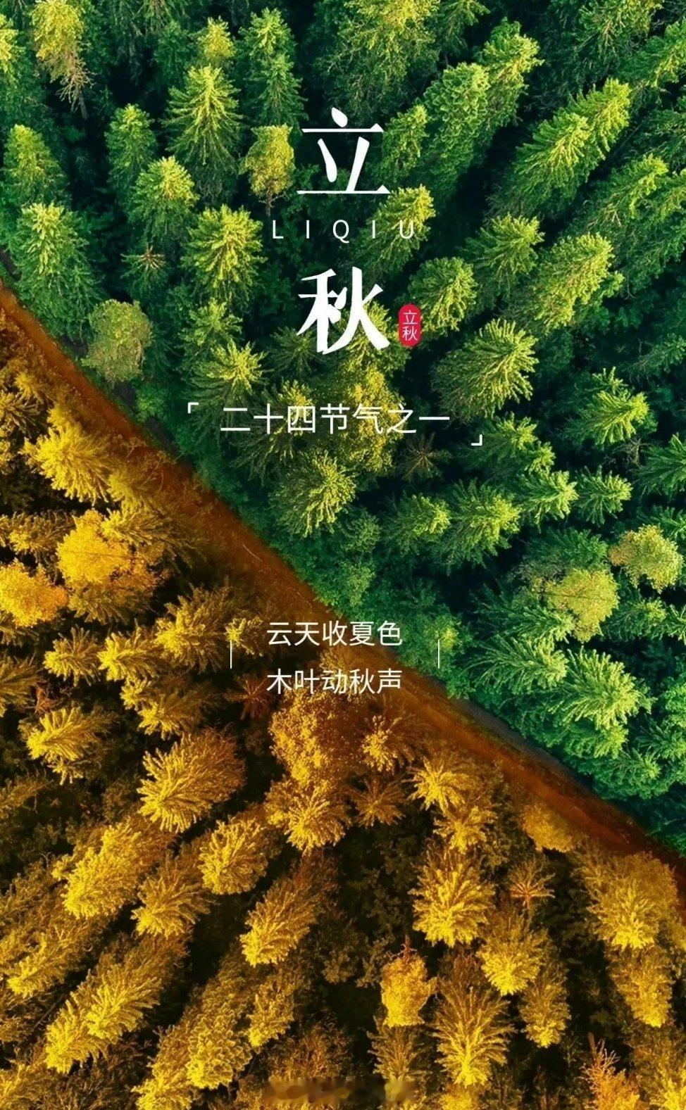 今天是8月7日，星期五，早安!今日立秋，暑退蝉稀天渐凉，秋来万事渐舒扬。把夏日的