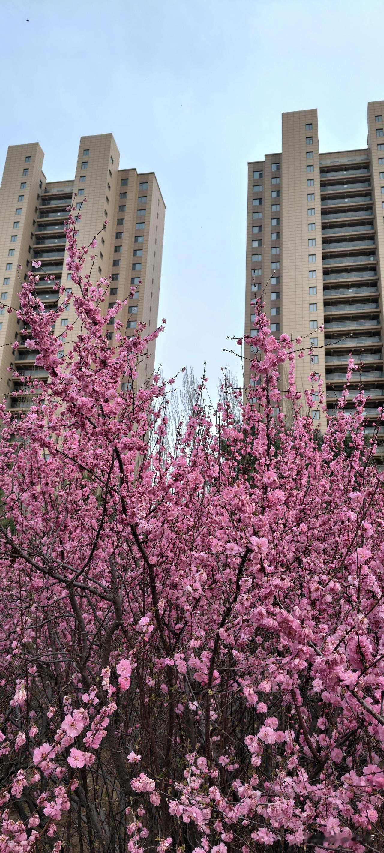 买房办公积金贷款，审批时长一直是大家最关心的问题。
 
根据官方规定，公积金贷款