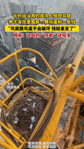 “躺着都能赚钱！”9月12日，陕西西安，一塔吊师傅爬上长期停用的塔吊后，竟在顶部