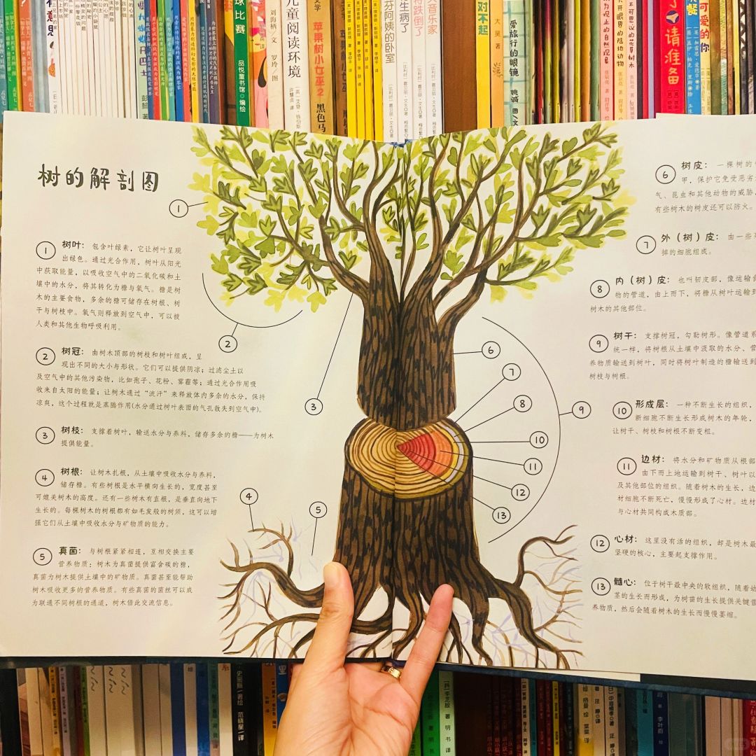 这本绘本也太美了吧？这是什么神仙画风！