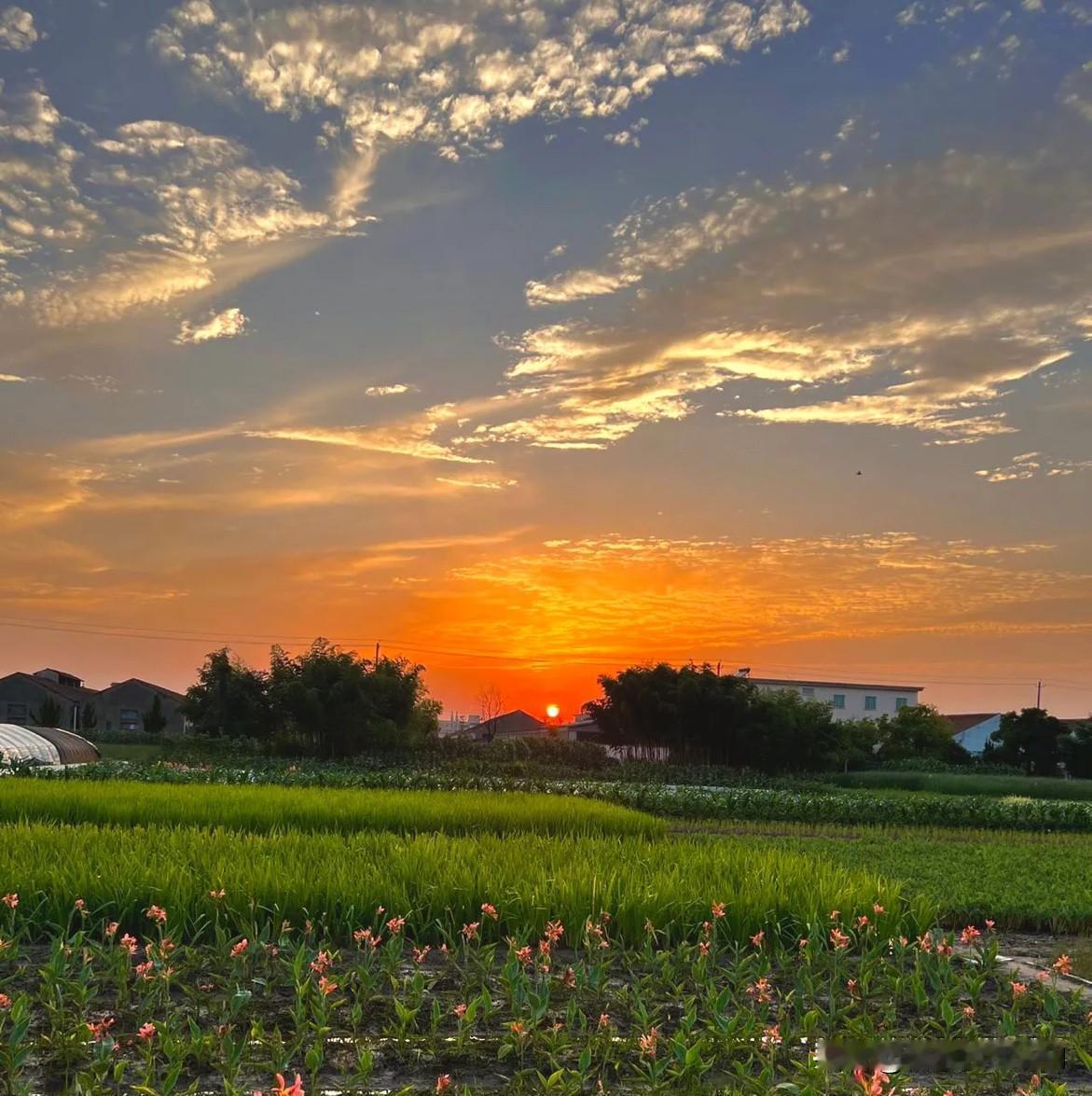 读时笑叹寻常句，活时才知字字真
《人呐》
莫言：这个世界的温柔都来自于你的强大，