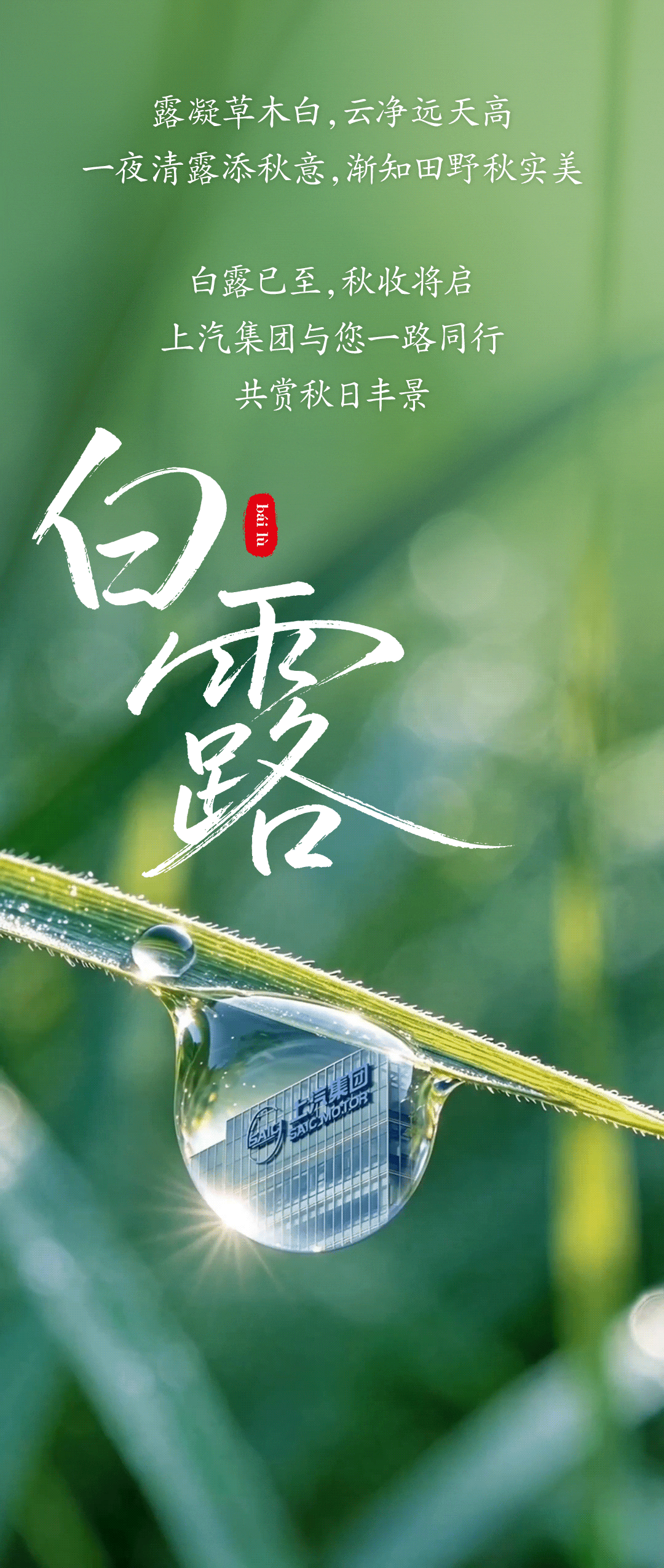 白露｜晨露凝珠，秋光漫野

露凝草木白，云净远天高
一夜清露添秋意，渐知田野秋实