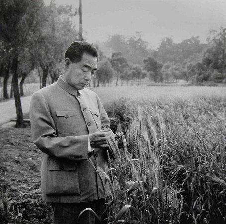 周总理仙逝50周年。
鞠躬尽瘁  死而后已！
大江歌罢掉头东，邃密群科济世穷。