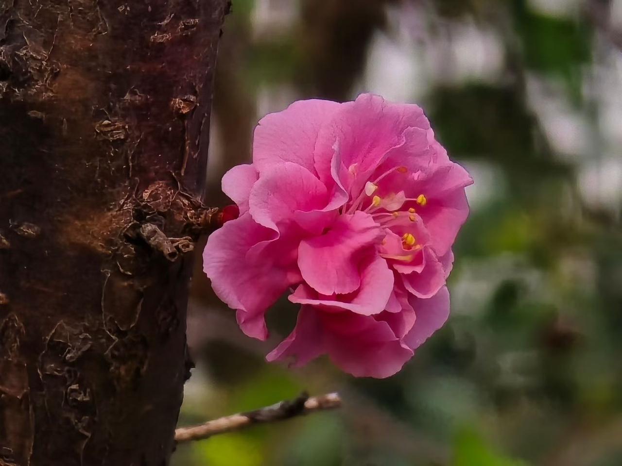 人过中年，做保安有出路吗答案是“肯定”的。俗话说：男人的尽头是保安，女人的尽头是