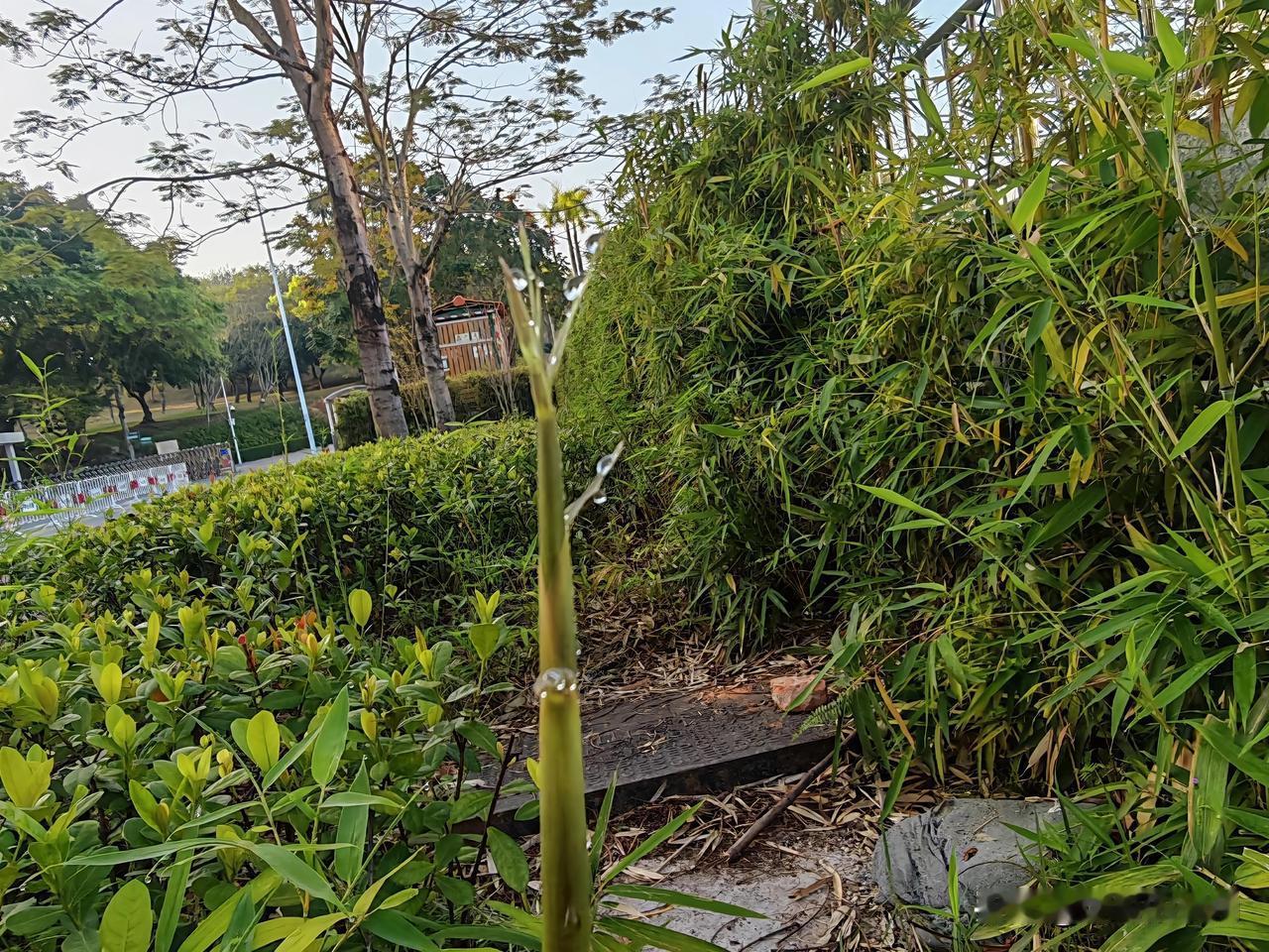 从2025年广东各市工业用地成交情况来看，珠中江三市未来的发展潜力究竟如何呢？2