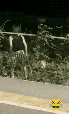 偷鸡不成舍把来
偷瓜不成掉坑里[笑哭][笑哭]