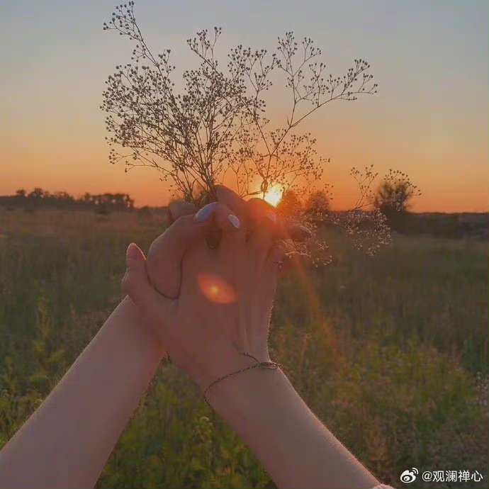 日子一晃而过，别太执着对错。岁月从来无言，只管日升月落。 