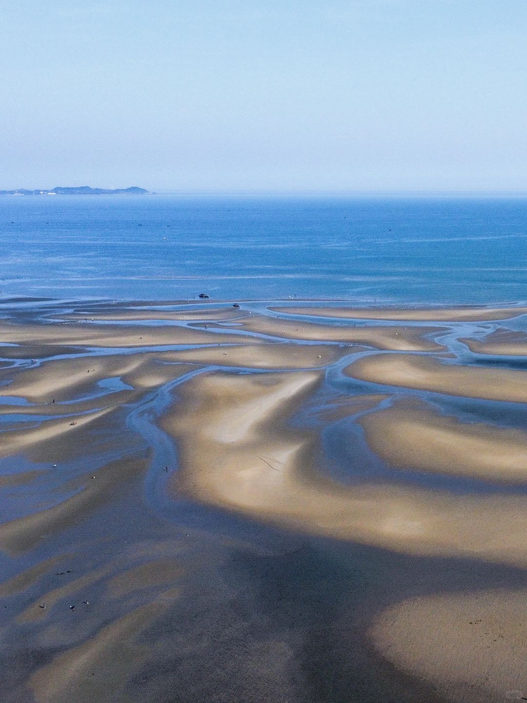 今日快乐‼️独享一片海滩🏖挖不完的🦀️🐚