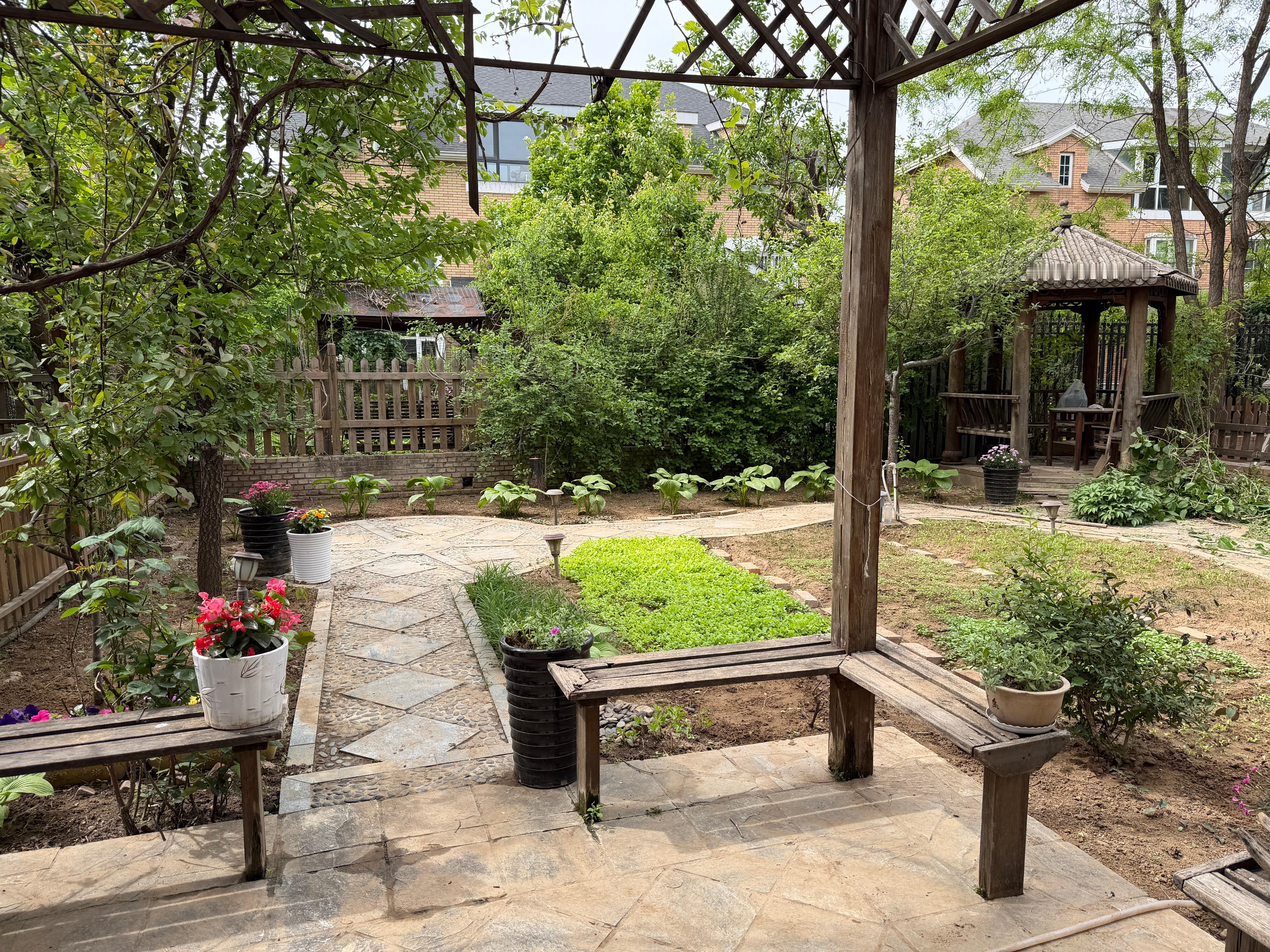 难得有空在家打理一下小院儿，真舒服啊，后天继续出差南方又一轮降雨降温