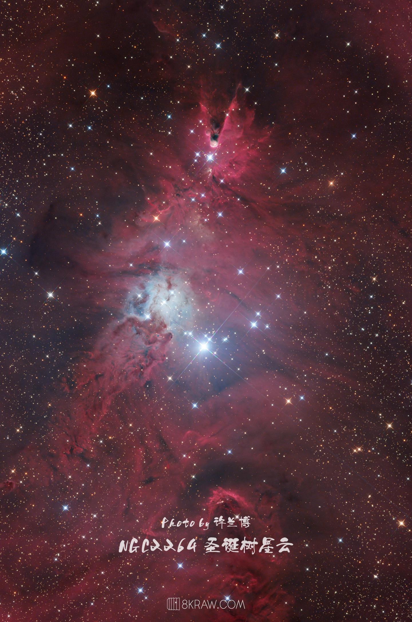 又是一年🎄 祝大家快乐不止圣诞！  图片为圣诞树星团Christma...