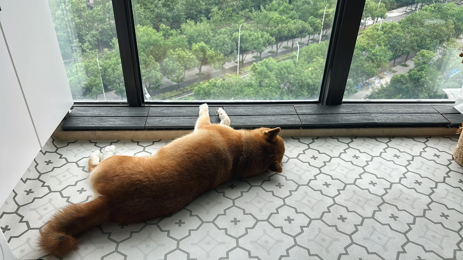 优雅永不过时