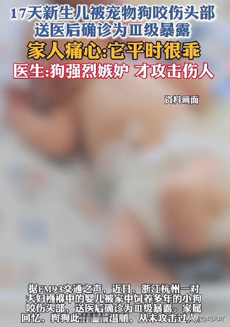 奉劝一句，养狗的家庭同时养小孩儿，千万要注意安全！

刚刚看到逐浪新闻报道的一条