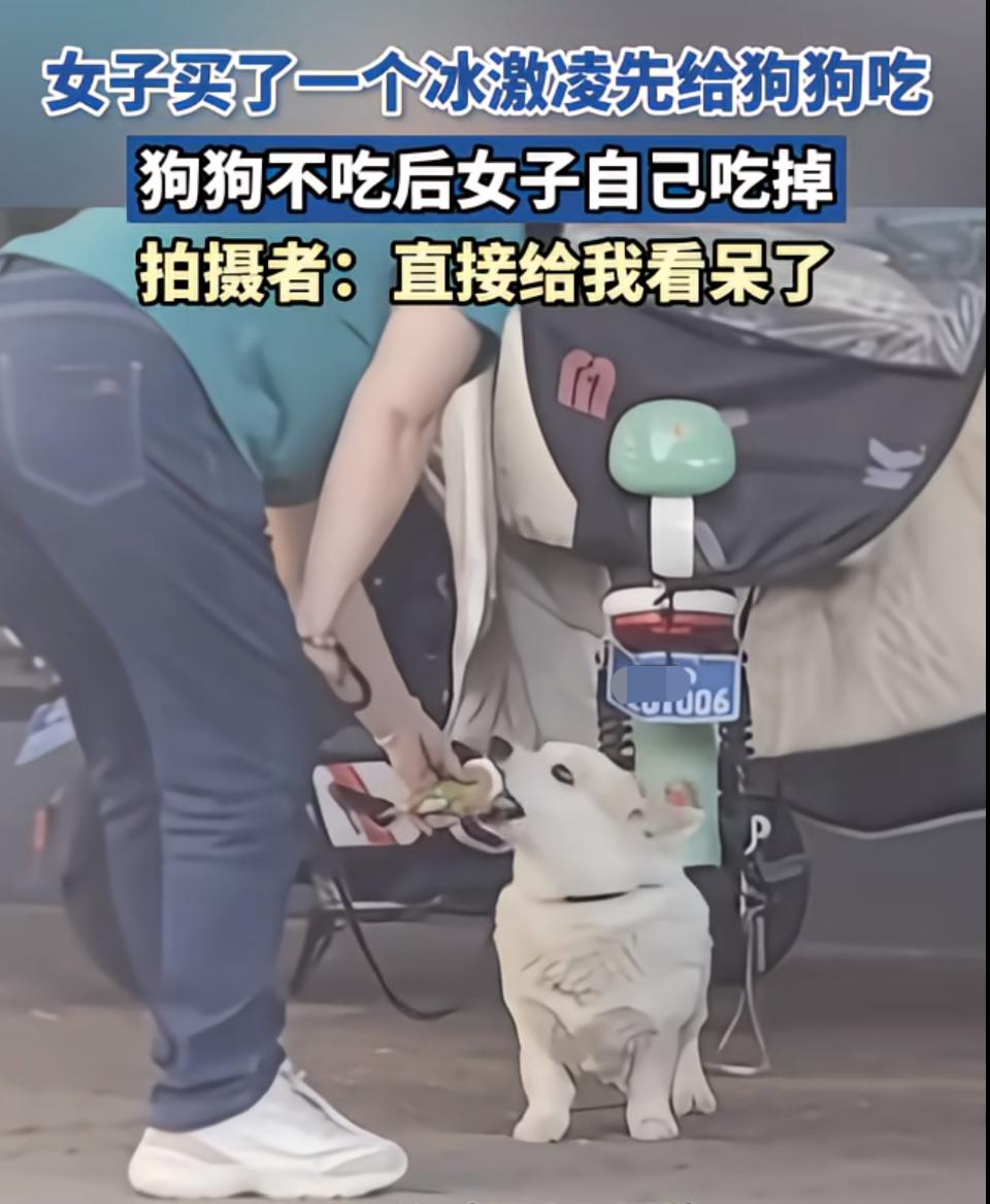 大姐买个冰淇淋先让狗狗吃，狗狗不吃了之后自己再开始吃。要不是路人偷偷地拍下了这一