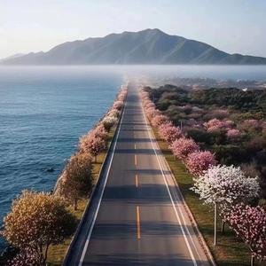 山顶观日的早人