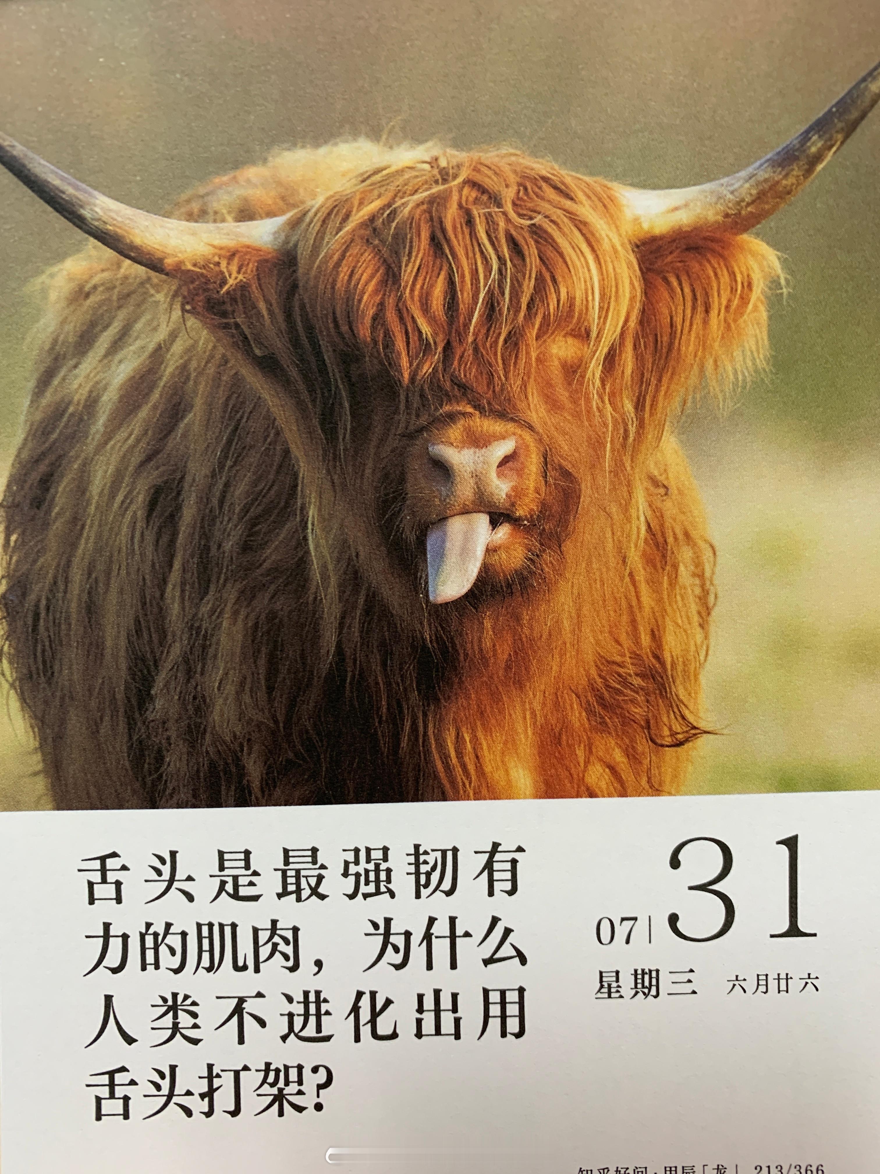 早安朋友们 ​​​