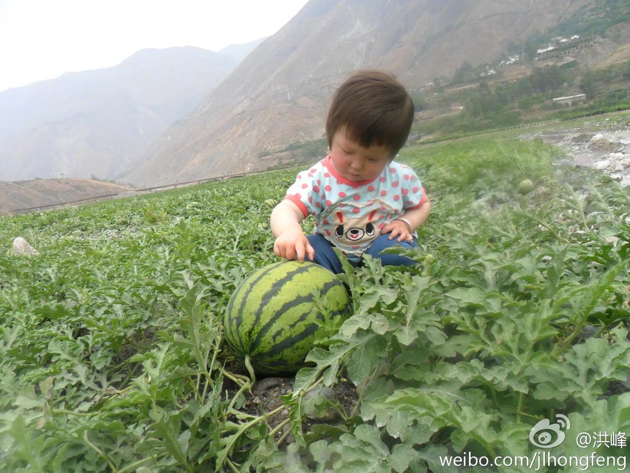 照片中的珞妮一岁半，她跟着妈妈去小江买西瓜。
小江是金沙江的一条支流，它经过滇东