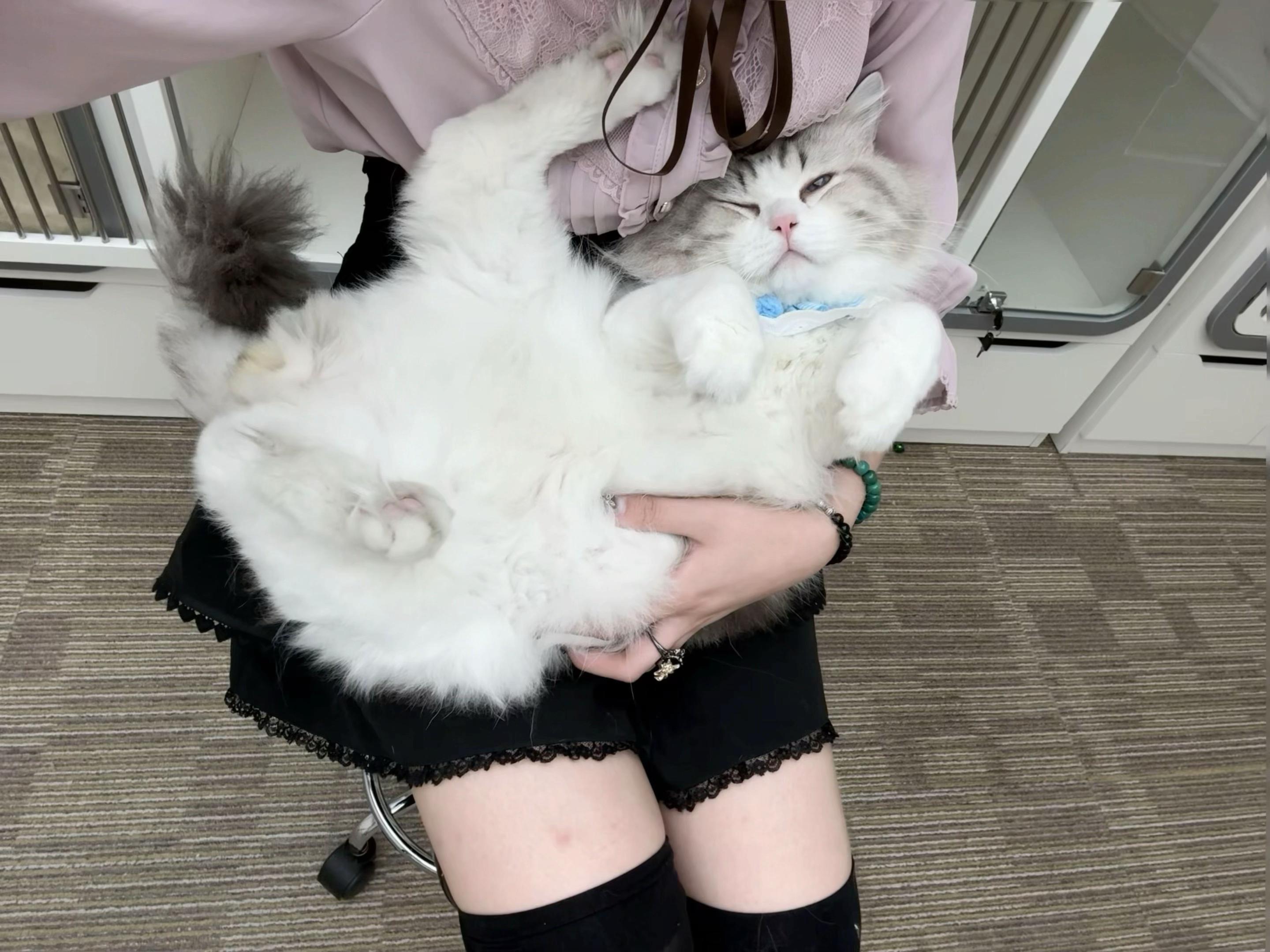 前方有重型坦克出没。