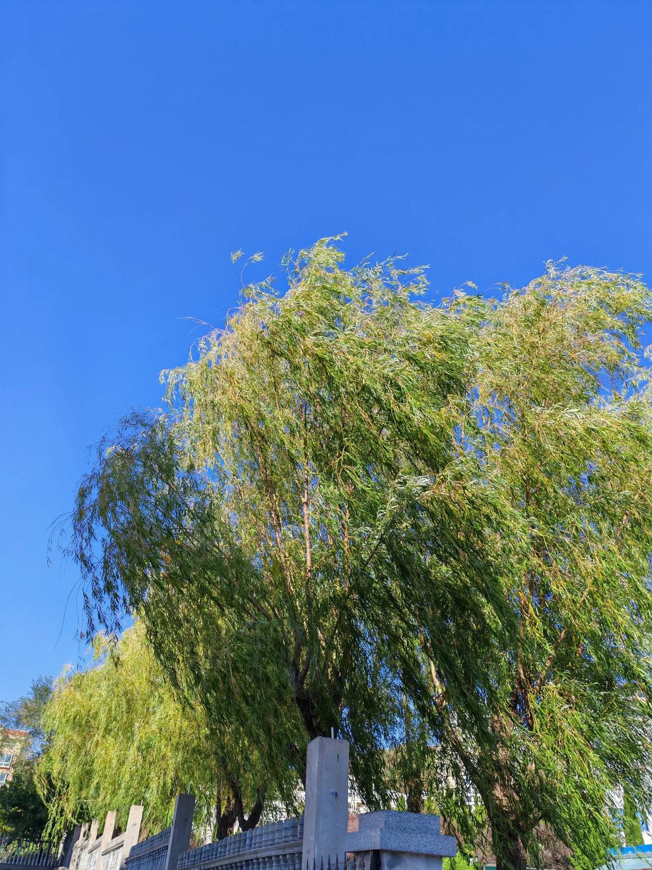 秋风起，寒意袭，行人瑟瑟发抖