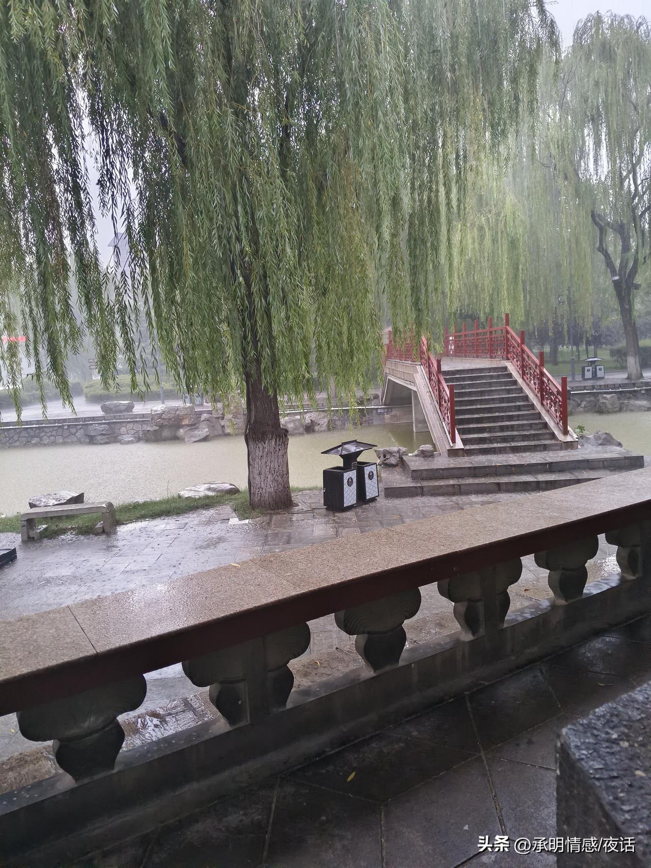 雨中的静谧公园，绿树成荫，红桥相伴，宁静悠然。