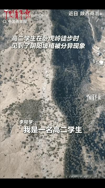 近日，陕西商洛，一高二男生在卧虎岭徒步时，发现一座山脉两边植被竟不一样，开始还以