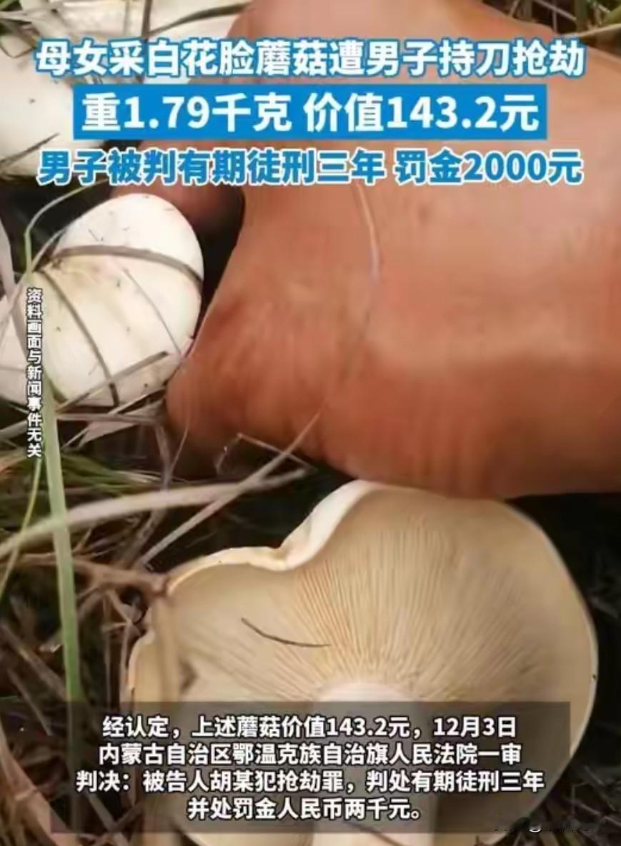 “脸都不要了！”内蒙古一对母女在草场捡蘑菇，一男子骑摩托路过时，趁母女俩不注意，