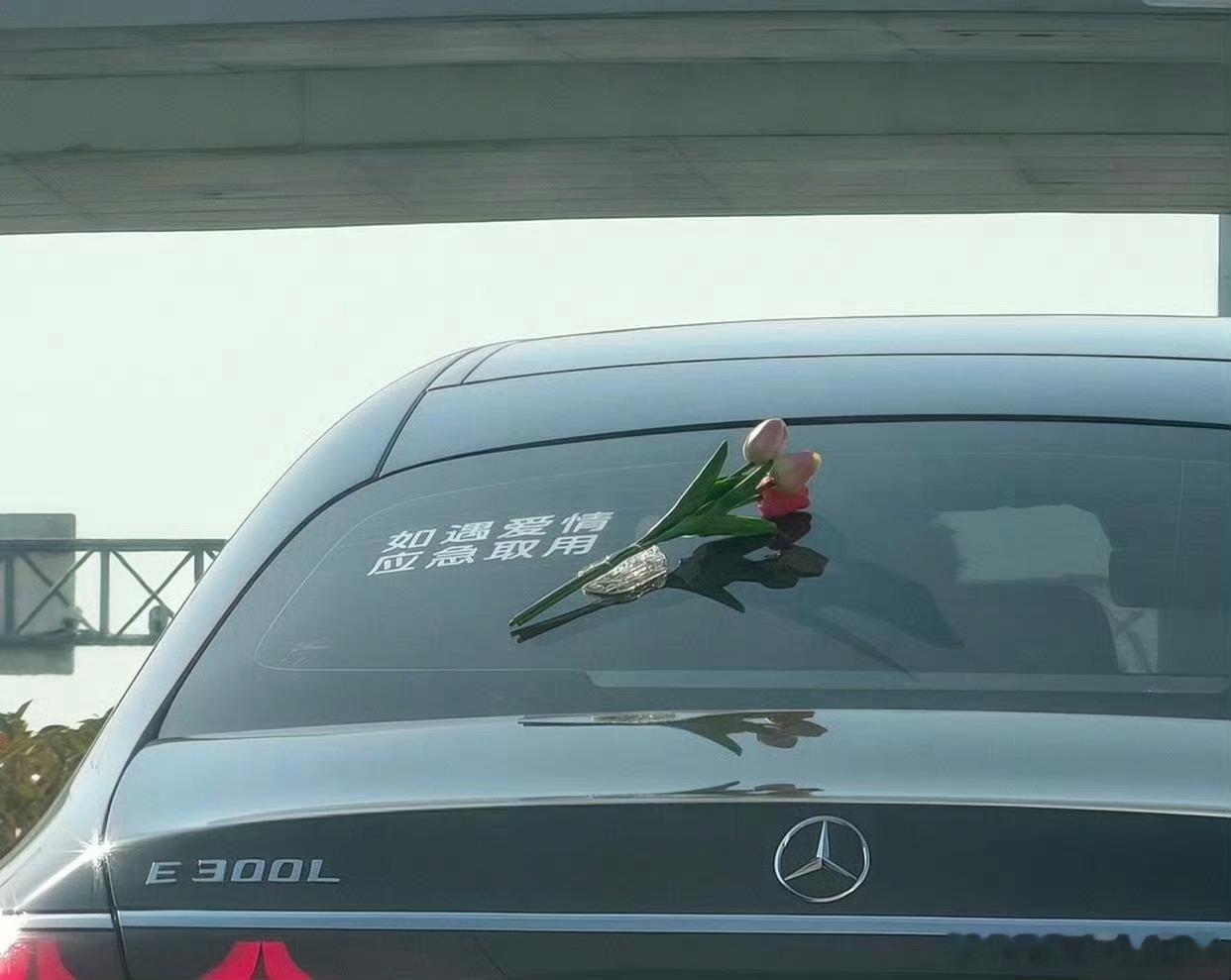 这位车主还挺浪漫 