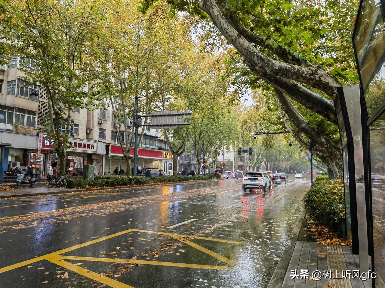 郑州立冬
      “天水清相入，秋冬气始交” 。今天11月7号农历9月18，