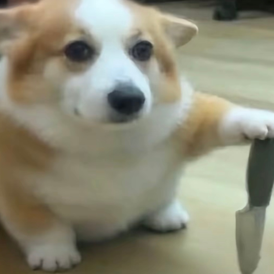 瑞本人出来 ​​​