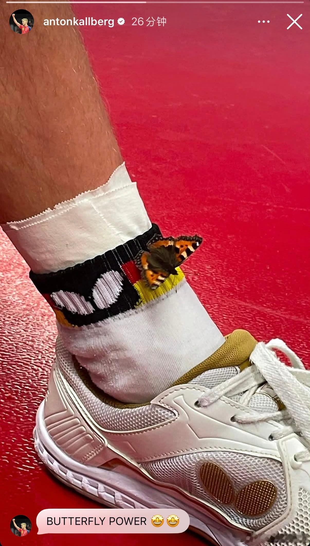 安东：BUTTERFLY POWER🤩🤩（蝴蝶落在蝴蝶上🦋 