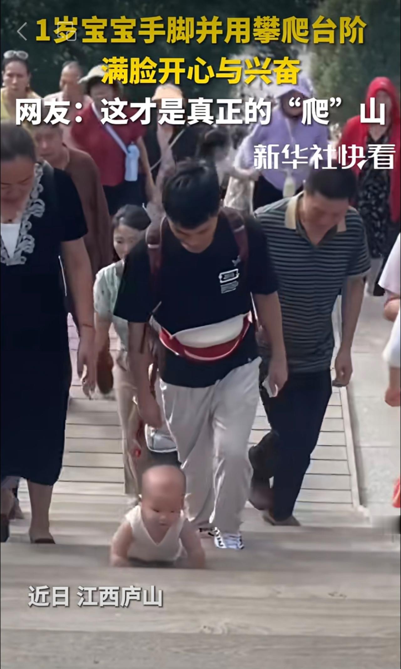1岁宝宝手脚并用攀爬台阶，满脸开心与兴奋，网友：这才是真正的“爬”山。