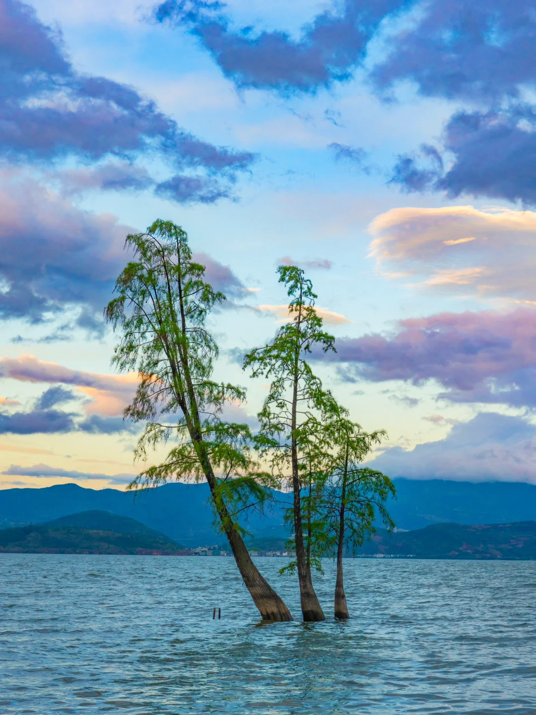 慢人节｜在大理的这几天后劲太大了❗️