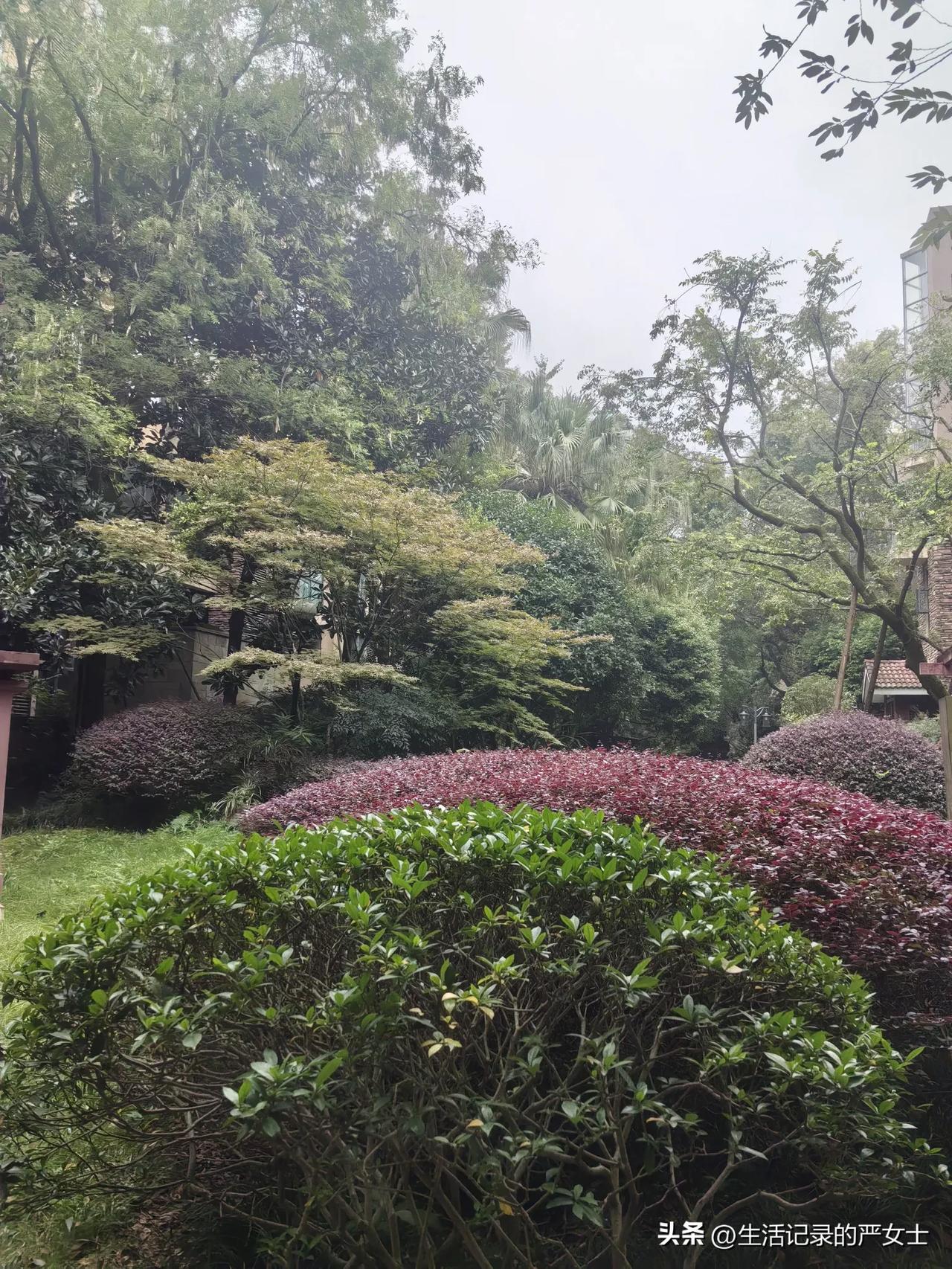 连续涨了21年的养老金，让所有人都没料到今年不涨了。

还好，我赶上了4年连涨。