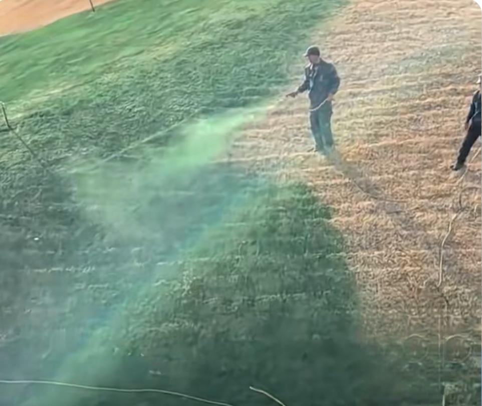 公园枯草喷“绿漆”惹争议？官方回应：是营养液！一场误会背后的治理思考

近日，陕