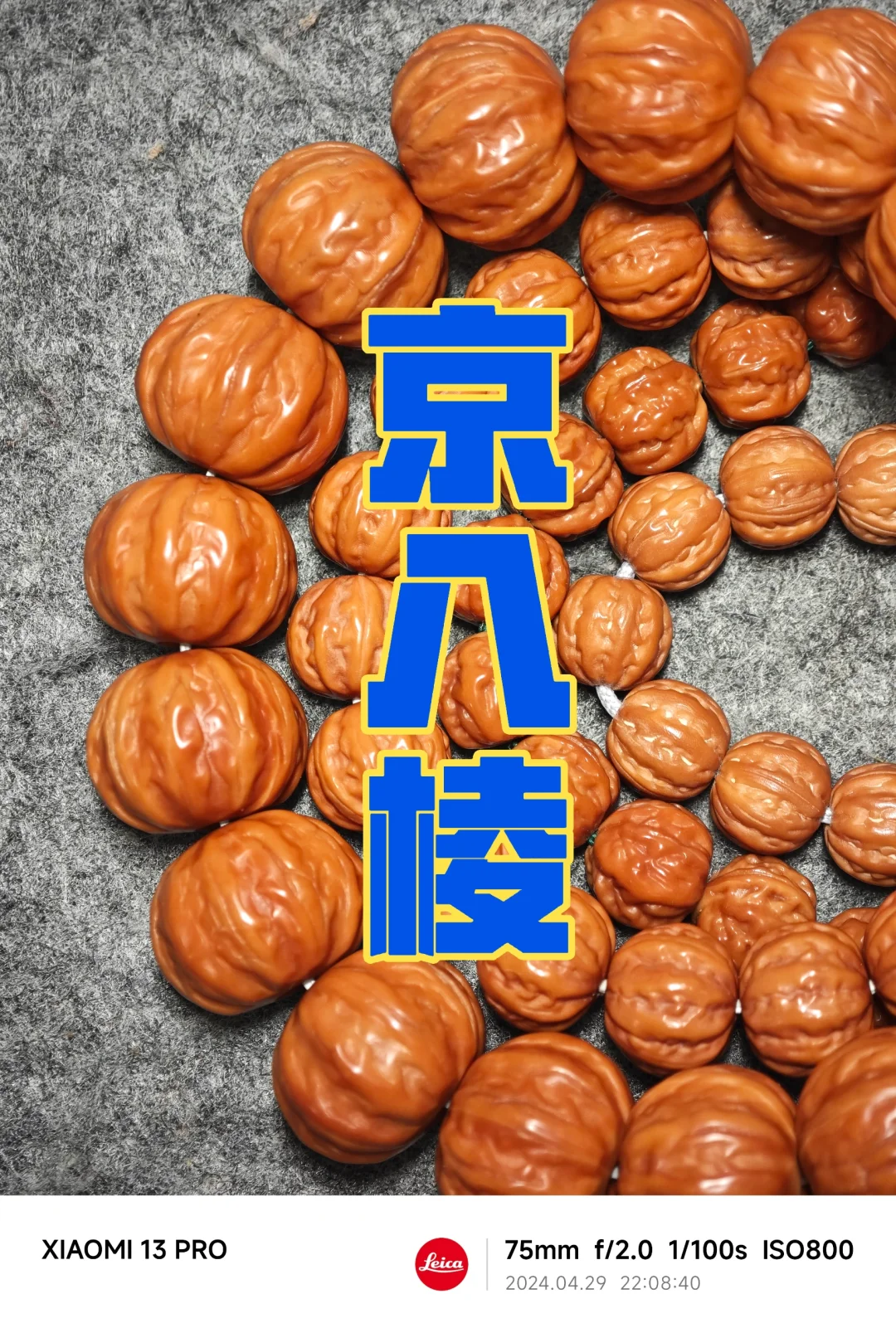 NO.496 京八棱猴头