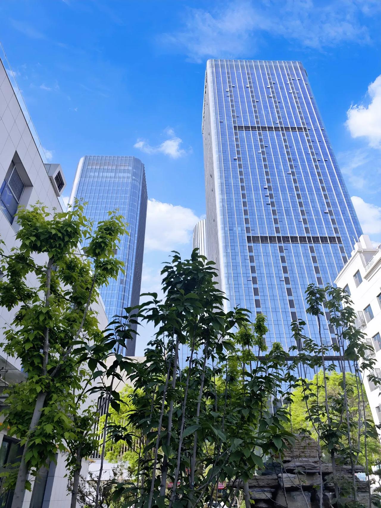 [柳丝欢歌起舞迎五月]
今天2025.5.1星期四/红红火火的五一节到了，祝条友