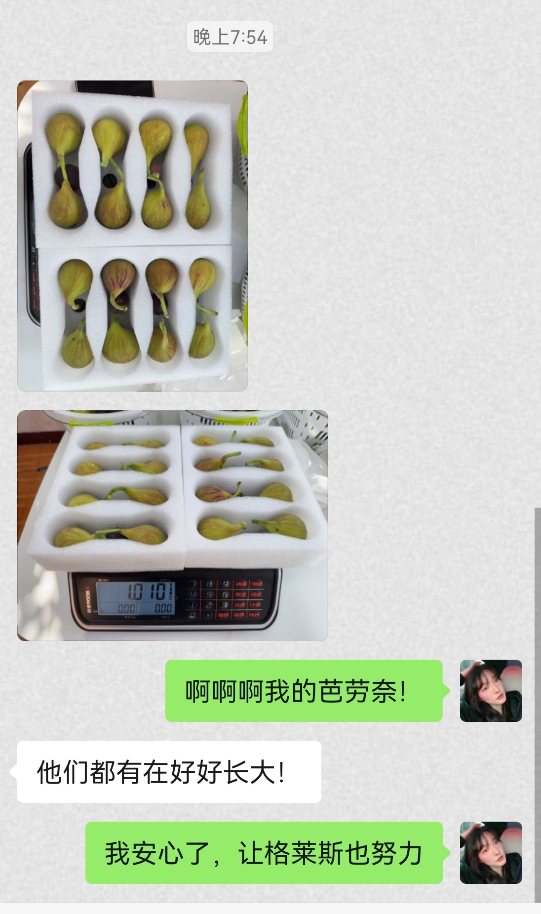 都是我的宝贝，被我看着长大，嘤嘤嘤！格莱斯也要努力啊！要不然我独家的格莱斯＋芭劳