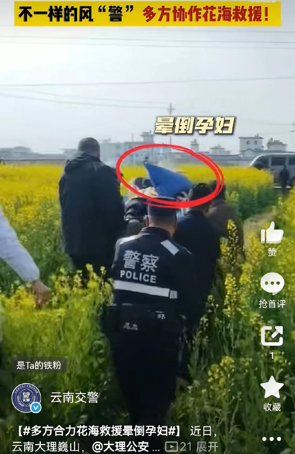 【多方合力花海救援晕倒孕妇】 最近云南大理巍山，一名孕妇游玩时晕倒，大理公安接求