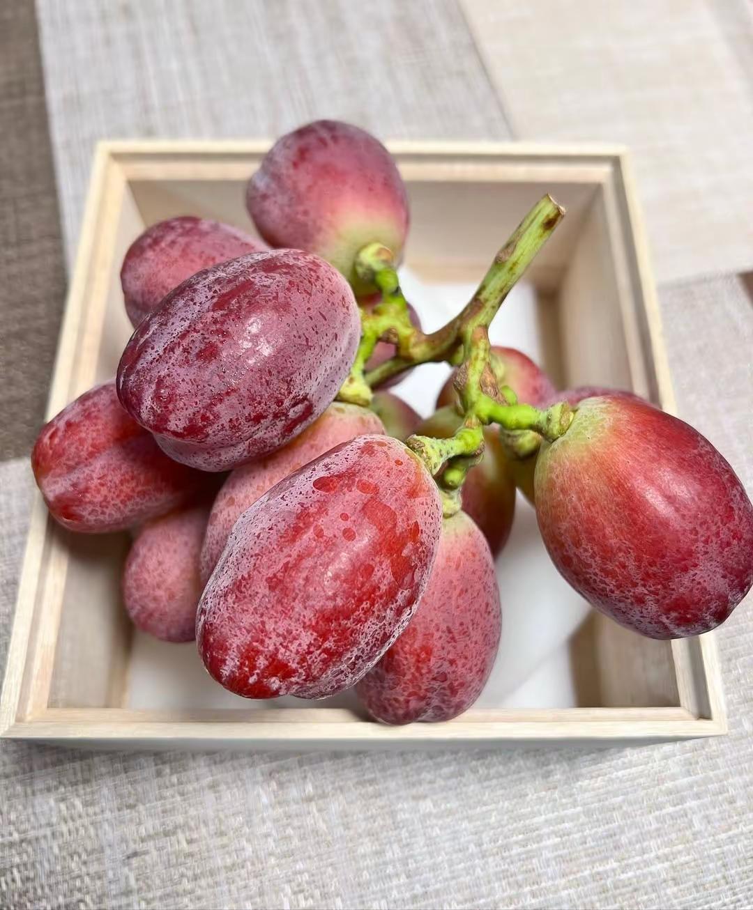 认知是一个人的牢笼，你所看到的世界，其实是认知允许你看到的。多学习，多思考，才能