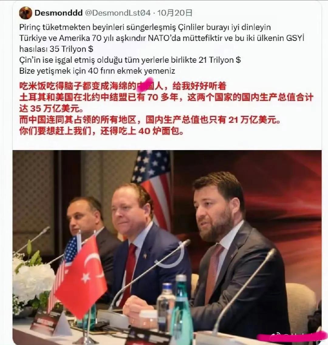 把盟友GDP算成自己实力？抱大腿得来的底气，靠谱吗？
土耳其有那么强吗？
土耳其