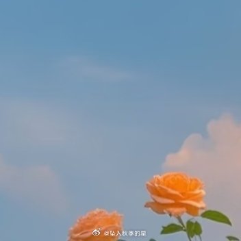 每日一善[超话]阳光信用 ☀️每日一善 人生如一场修行。得意时，一日看尽长安花；