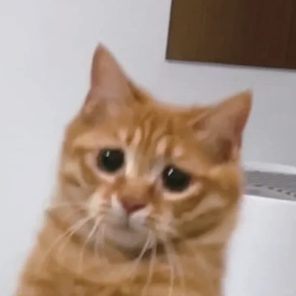 瓜说我瘦过