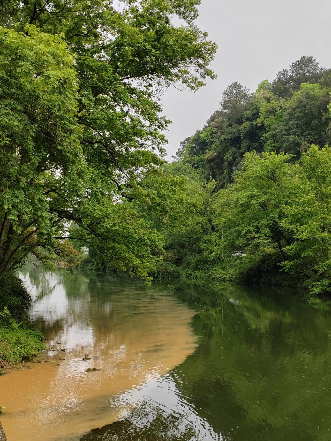 当地时间2026年4月9日，委内瑞拉代总统德尔西·罗德里格斯抵达加勒比岛国格林纳