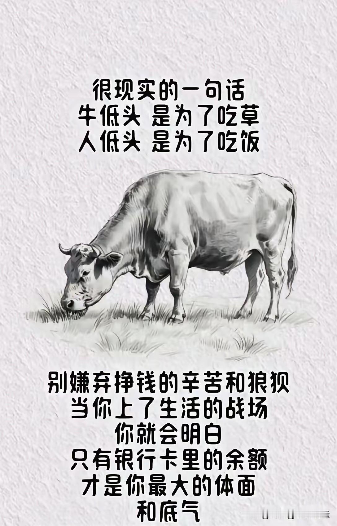 所谓生活不如意，
就是缺少人民币！[捂脸][捂脸][捂脸]