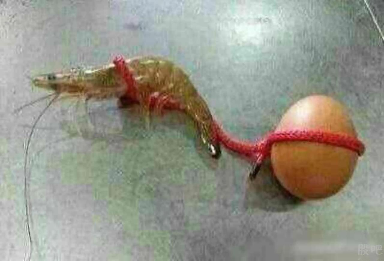【聊天】
凤凰涅槃了
王八很羡慕
对虾说：
涅槃会让你我重生
小二高叫：
二两白
