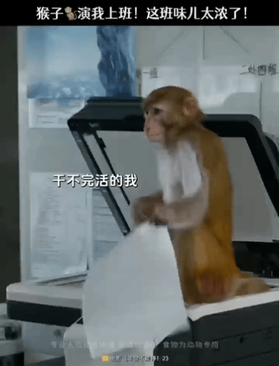 打工人的终极幻想被拍出来了 谁上班没幻想过放肆发疯？这部电影完美还原，猴子乱造办